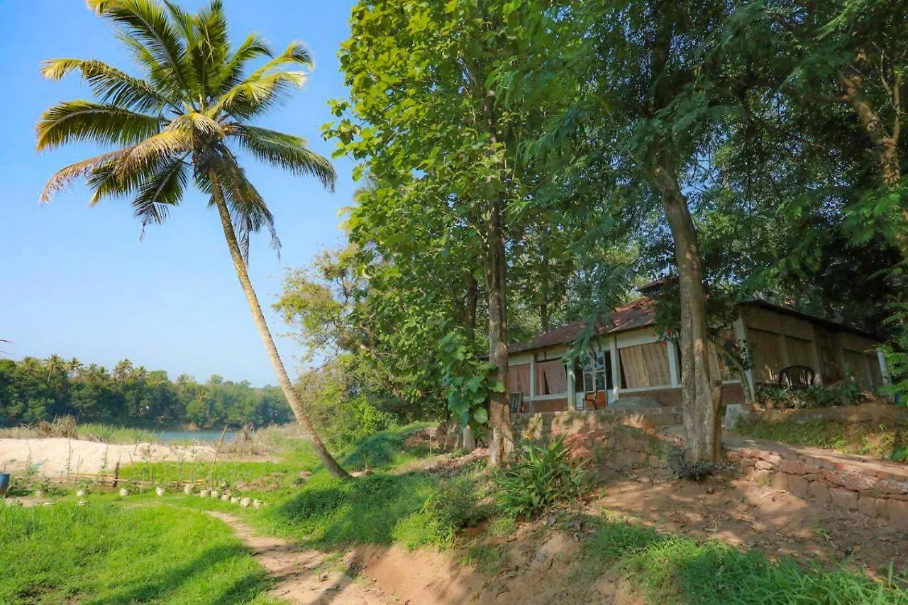 Pranayakulam Riverside Stay In Rustic Village Thalayolaparambu