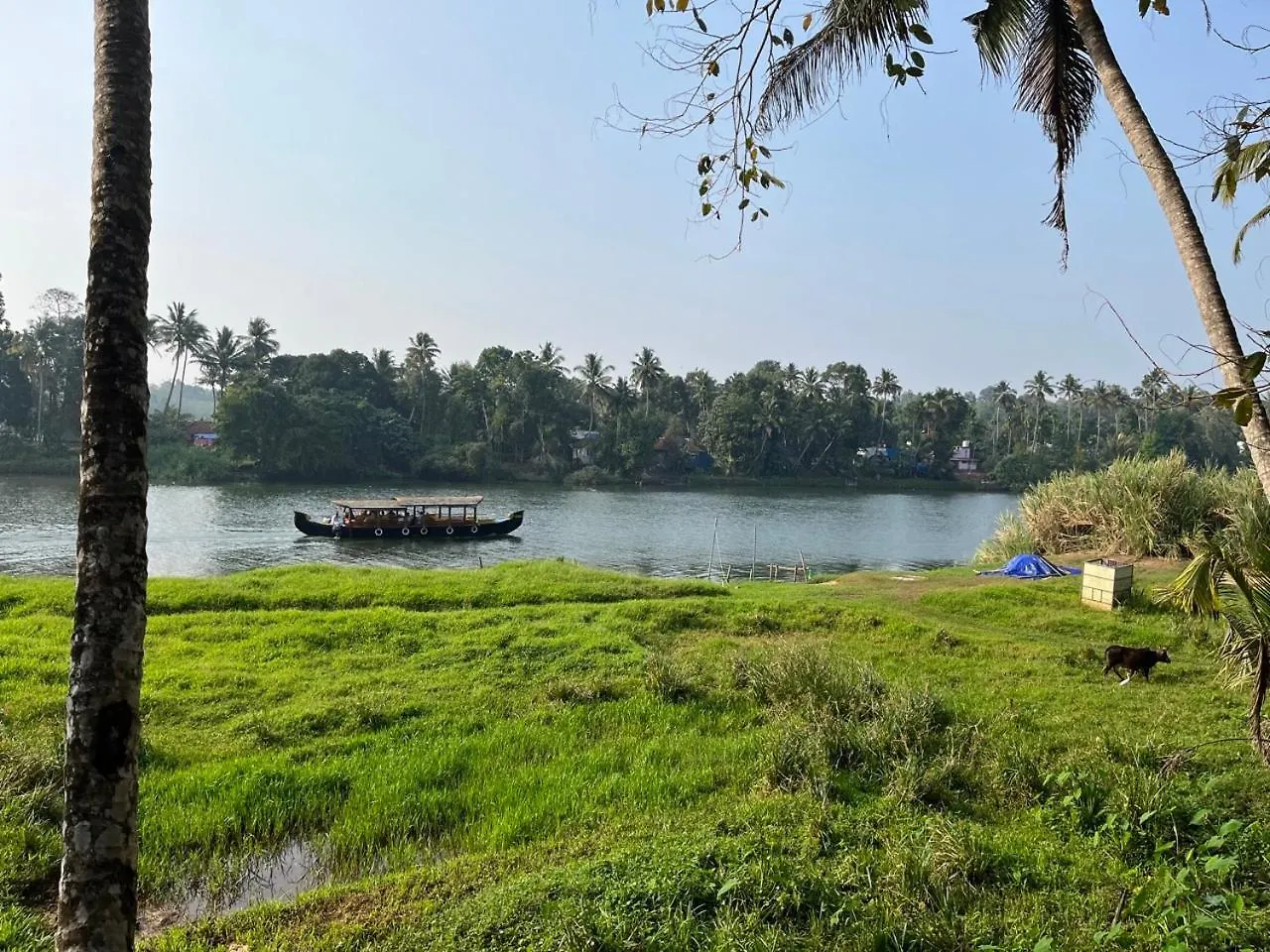 Pranayakulam Riverside Stay In Rustic Village Thalayolaparambu